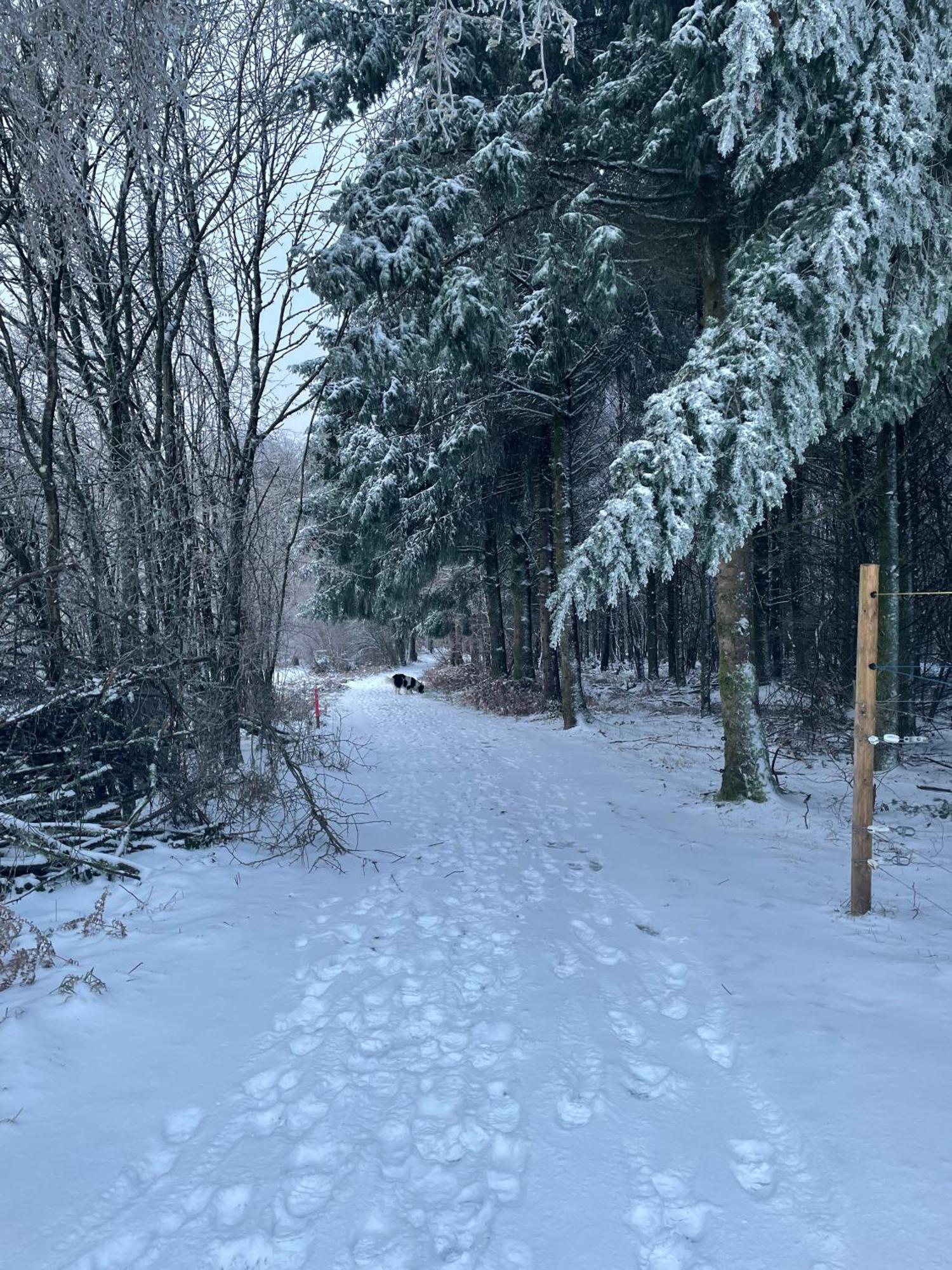 Gite Banet-Sart A Daverdisse Bagian luar foto